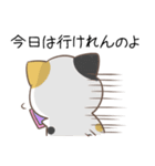 広島弁のみけねこ2（個別スタンプ：21）
