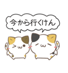 広島弁のみけねこ2（個別スタンプ：22）