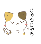 広島弁のみけねこ3（個別スタンプ：1）