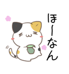 広島弁のみけねこ3（個別スタンプ：5）