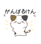 広島弁のみけねこ3（個別スタンプ：6）