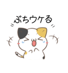 広島弁のみけねこ3（個別スタンプ：20）