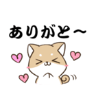 でか文字♡しばいぬスタンプ（個別スタンプ：6）