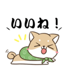 でか文字♡しばいぬスタンプ（個別スタンプ：8）
