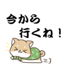 でか文字♡しばいぬスタンプ（個別スタンプ：10）