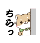 でか文字♡しばいぬスタンプ（個別スタンプ：11）