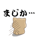 でか文字♡しばいぬスタンプ（個別スタンプ：13）
