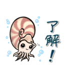 いろいろアンモナイト ⁑ たまに放散虫 ⁑（個別スタンプ：1）