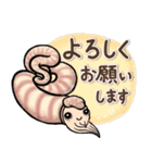 いろいろアンモナイト ⁑ たまに放散虫 ⁑（個別スタンプ：8）