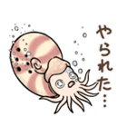 いろいろアンモナイト ⁑ たまに放散虫 ⁑（個別スタンプ：11）