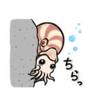 いろいろアンモナイト ⁑ たまに放散虫 ⁑（個別スタンプ：16）