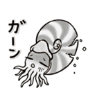 いろいろアンモナイト ⁑ たまに放散虫 ⁑（個別スタンプ：21）