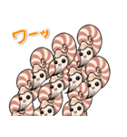 いろいろアンモナイト ⁑ たまに放散虫 ⁑（個別スタンプ：26）