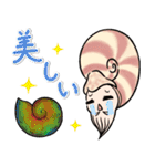 いろいろアンモナイト ⁑ たまに放散虫 ⁑（個別スタンプ：27）