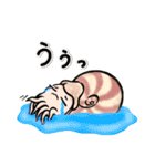 いろいろアンモナイト ⁑ たまに放散虫 ⁑（個別スタンプ：34）