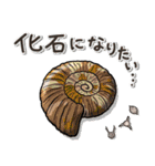 いろいろアンモナイト ⁑ たまに放散虫 ⁑（個別スタンプ：35）