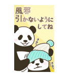 【華やか年賀状】やる気のないパンダBIG（個別スタンプ：27）