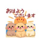 かわいいトイプードル♥お正月（個別スタンプ：17）