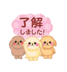 かわいいトイプードル♥お正月（個別スタンプ：19）