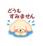 かわいいトイプードル♥お正月（個別スタンプ：22）