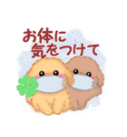 かわいいトイプードル♥お正月（個別スタンプ：27）