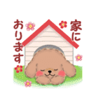 かわいいトイプードル♥お正月（個別スタンプ：30）