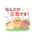 かわいいトイプードル♥お正月（個別スタンプ：34）