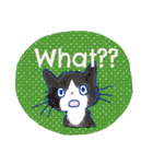 ゆかいな猫達が英語で伝えるスタンプ（個別スタンプ：17）