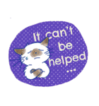 ゆかいな猫達が英語で伝えるスタンプ（個別スタンプ：28）