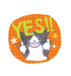 ゆかいな猫達が英語で伝えるスタンプ（個別スタンプ：34）