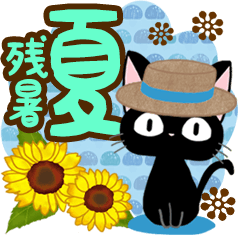 [LINEスタンプ] 黒猫の気づかい大人スタンプ【夏〜残暑】の画像（メイン）