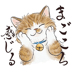 [LINEスタンプ] 猫好きパーソンが毎日使えるスタンプ2