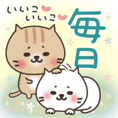 [LINEスタンプ] ねこまる【トラシロ】のシンプルな毎日