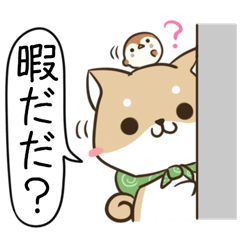 [LINEスタンプ] 長野弁のしばいぬとすずめ