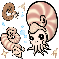 [LINEスタンプ] いろいろアンモナイト ⁑ たまに放散虫 ⁑