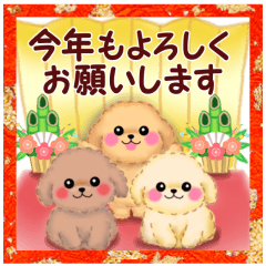 [LINEスタンプ] かわいいトイプードル♥お正月の画像（メイン）
