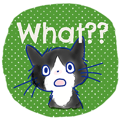 [LINEスタンプ] ゆかいな猫達が英語で伝えるスタンプ